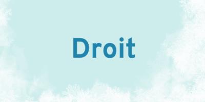 Journée carrière en droit