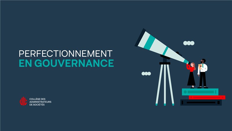Perfectionnement en gouvernance | Apprendre par l'expérience - De Roche ...